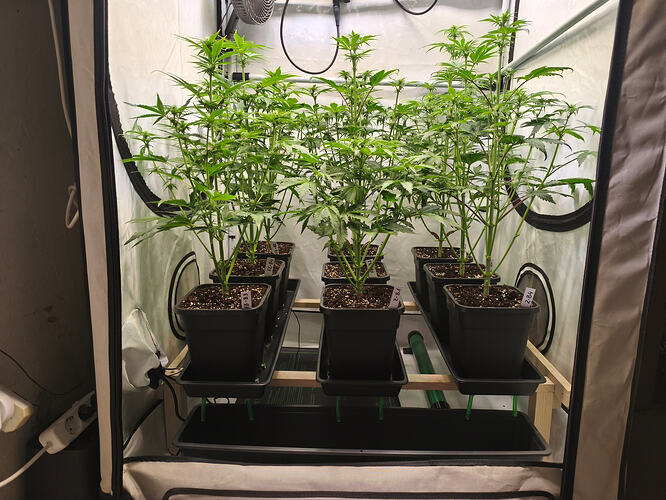 Growreport Bild 8