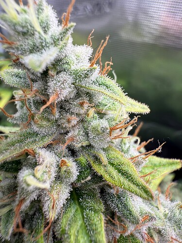 Growreport Bild 16