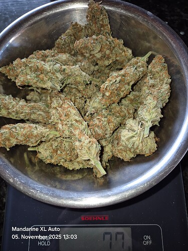 Growreport Bild 6
