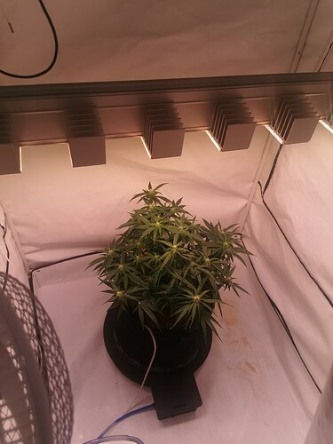 Growreport Bild 2