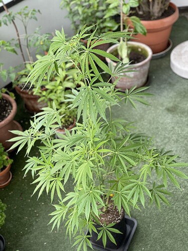 Growreport Bild 8