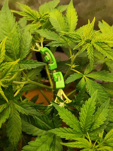 Growreport Bild 26