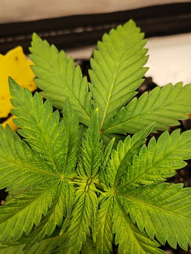 Growreport Bild 11