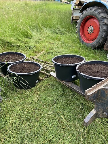 Growreport Bild 19