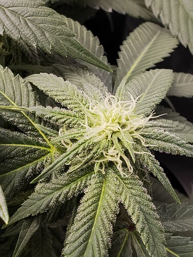 Growreport Bild 22