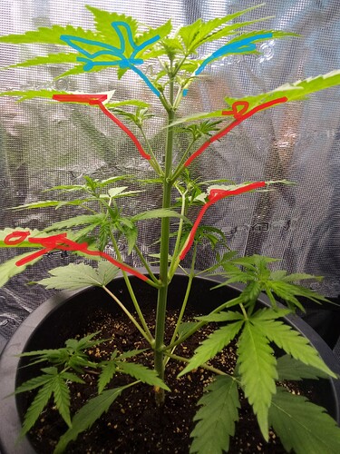 IMG_2025-03-28-12-07-32-422