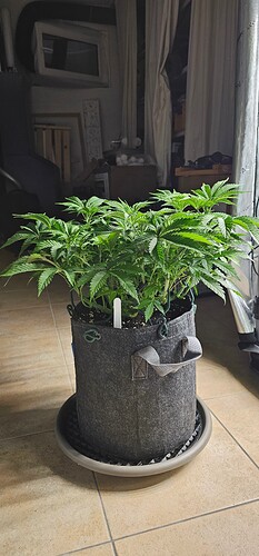 Growreport Bild 8