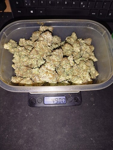 Growreport Bild 4