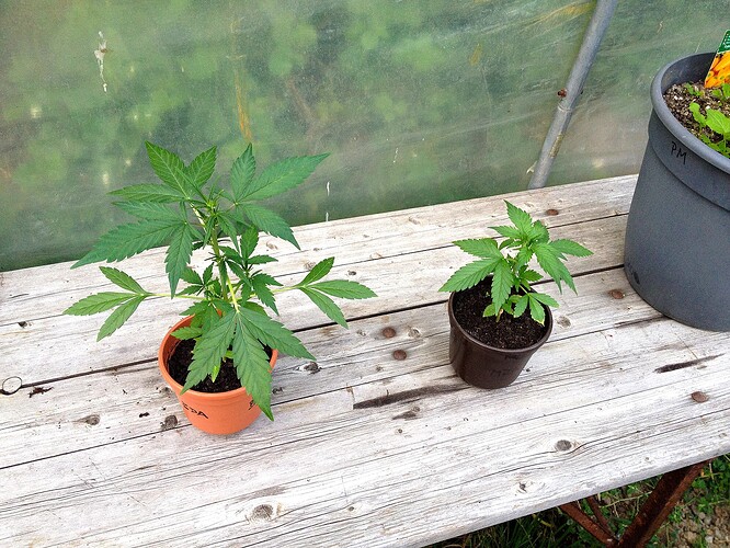 Growreport Bild 8