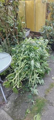Growreport Bild 1