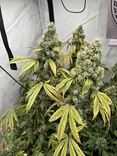 Growreport Bild 8