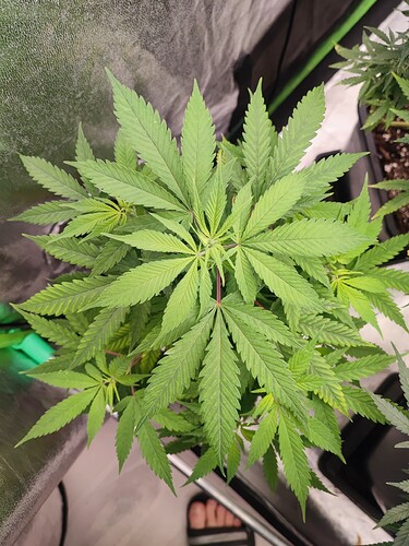 Growreport Bild 21