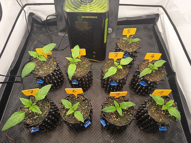 Growreport Bild 1