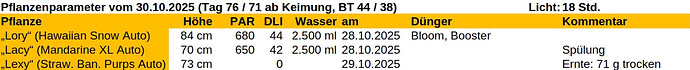 Growreport Bild 26
