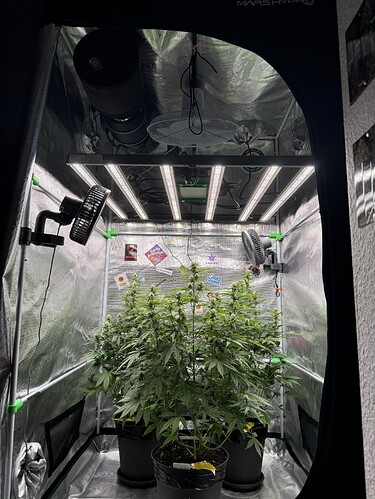 Growreport Bild 28