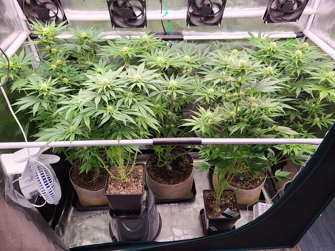 Growreport Bild 6