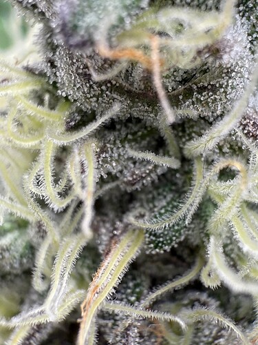 Growreport Bild 10