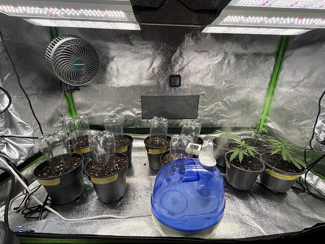 Growreport Bild 43