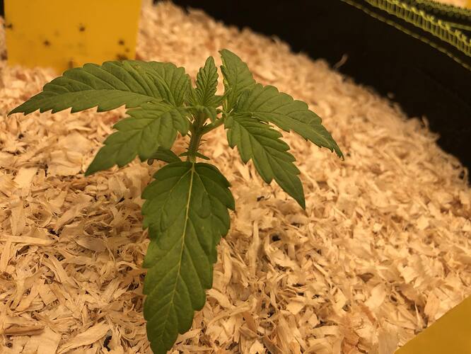 Growreport Bild 4