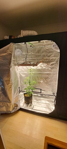 Growreport Bild 26