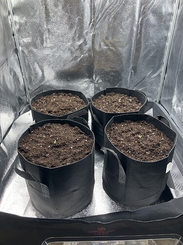 Growreport Bild 12