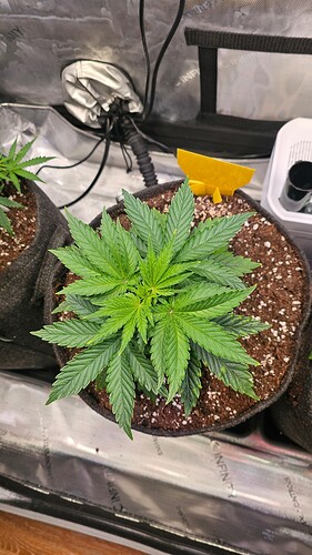 Growreport Bild 12