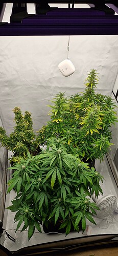 Growreport Bild 17