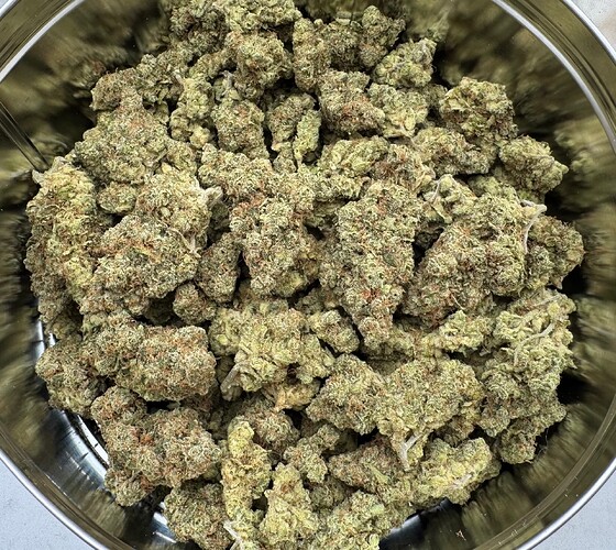 Growreport Bild 67