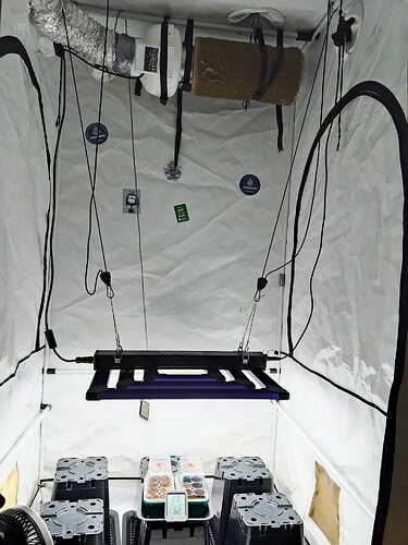 IMG_20250907_130227_HDR