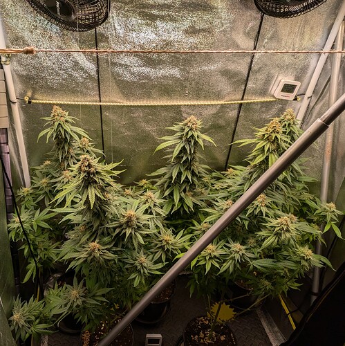 Growreport Bild 17