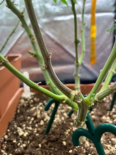 Growreport Bild 5