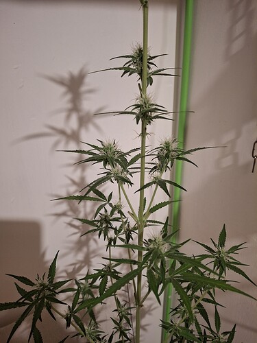 Growreport Bild 192