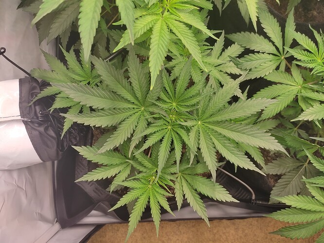 Growreport Bild 16