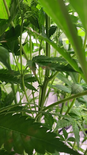 Growreport Bild 23