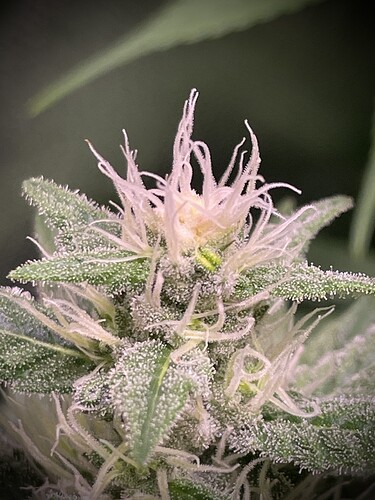 Growreport Bild 9