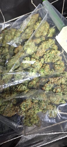Growreport Bild 3