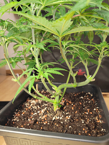 Growreport Bild 7