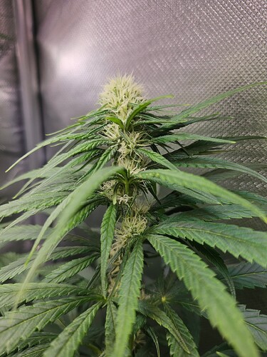 Growreport Bild 14
