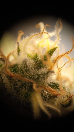 Growreport Bild 22