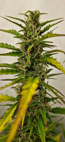 Growreport Bild 21