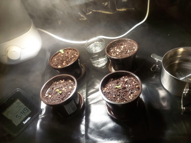 Growreport Bild 14