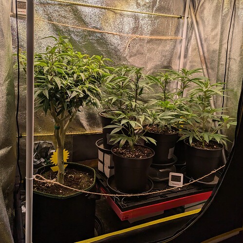 Growreport Bild 8