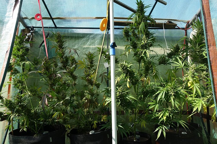 Growreport Bild 7