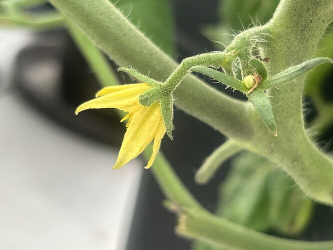 Growreport Bild 7