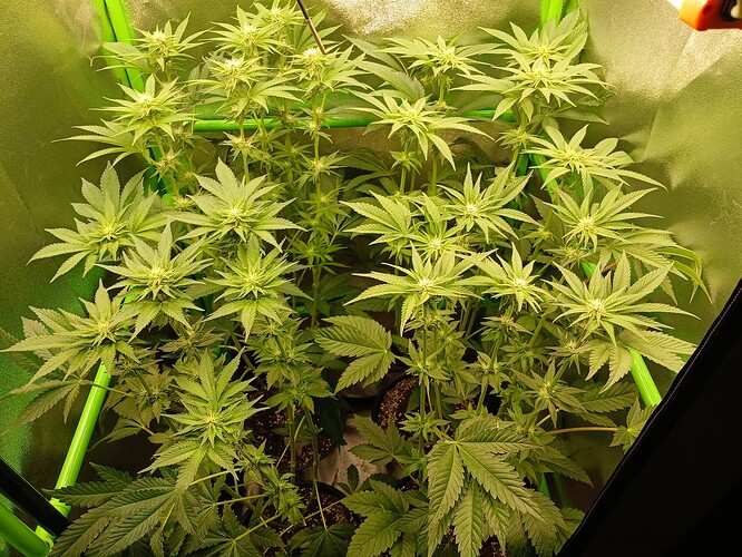 Growreport Bild 16