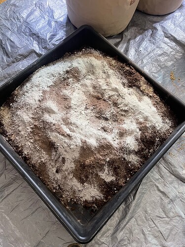 Growreport Bild 5