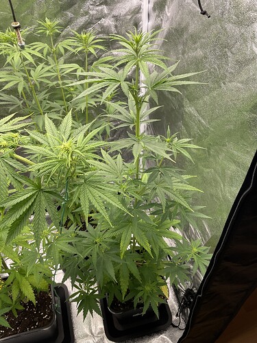 Growreport Bild 8