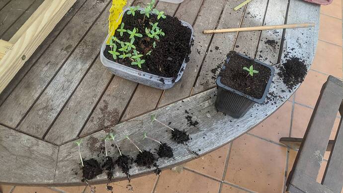 signal-2024-08-19-111948_003