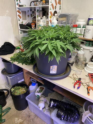 Growreport Bild 59