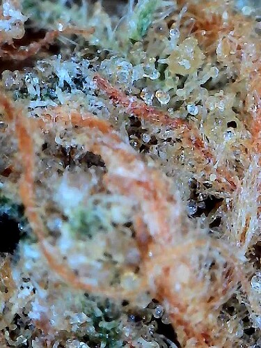 2026-04-04-13-04-08-778